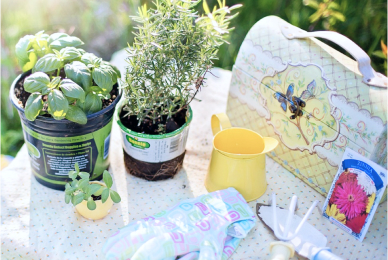 الحدائق والهواء الطلق