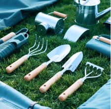 الحديقة والأنشطة الخارجية